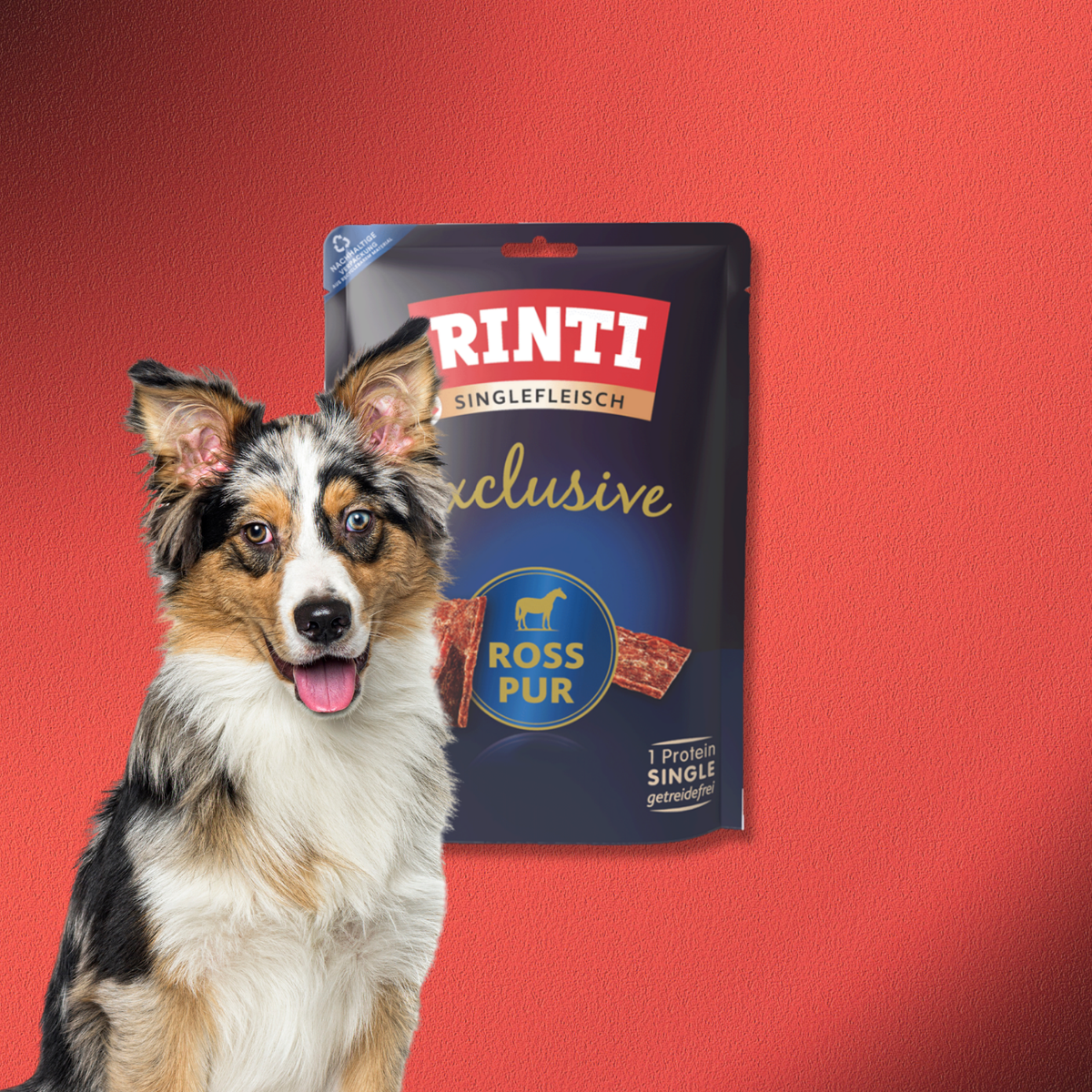 24x50g Rinti Singlefleisch Exclusive Ross pur Snack