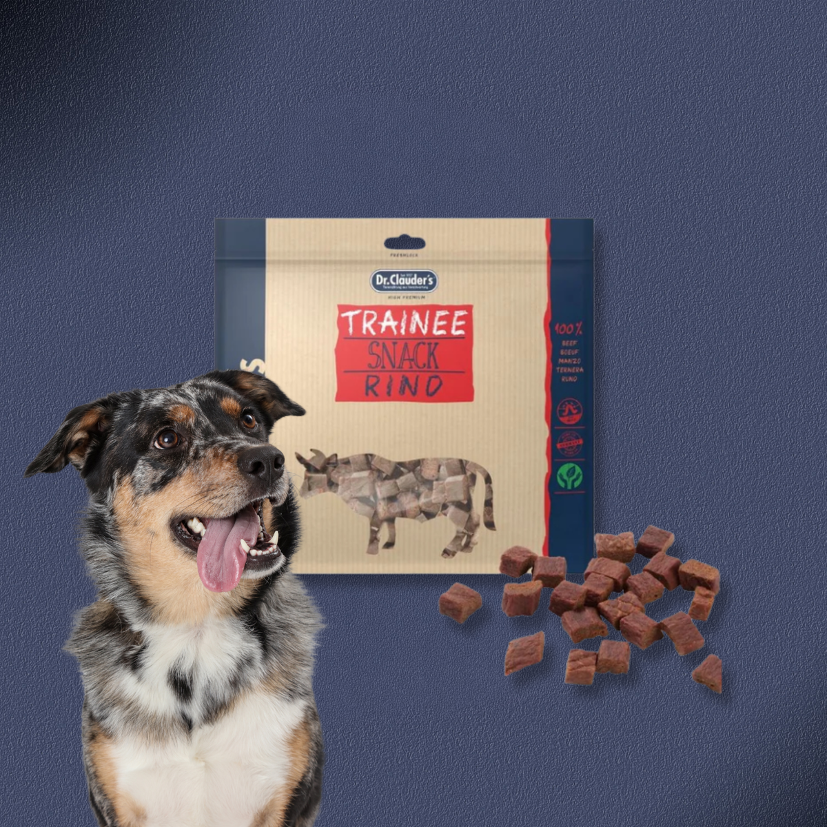 15x500g Dr.Clauder's Trainee Snack - Rinderfleisch