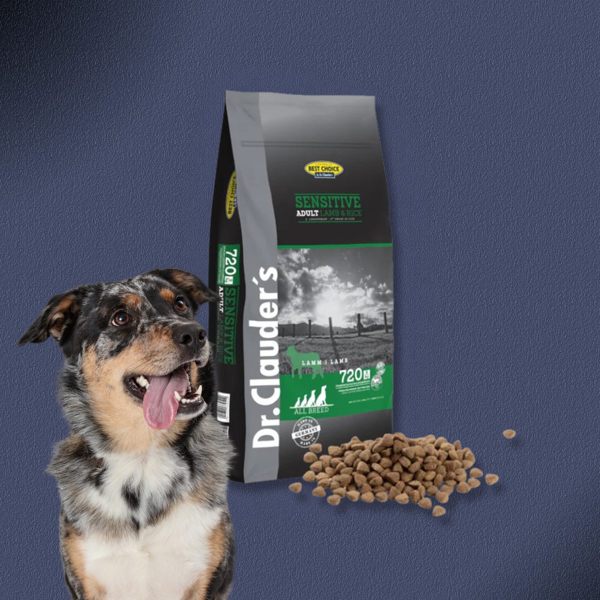 2x12,5kg Dr.Clauder's Best Choice Adult Lamm & Reis
