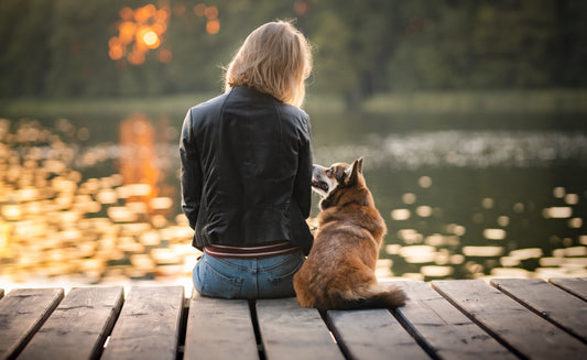 Hund am See: Darauf solltest du achten