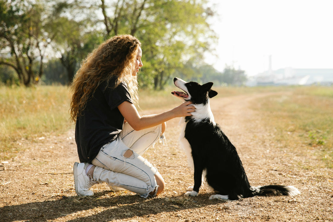 So gelingt artgerechte Hundehaltung