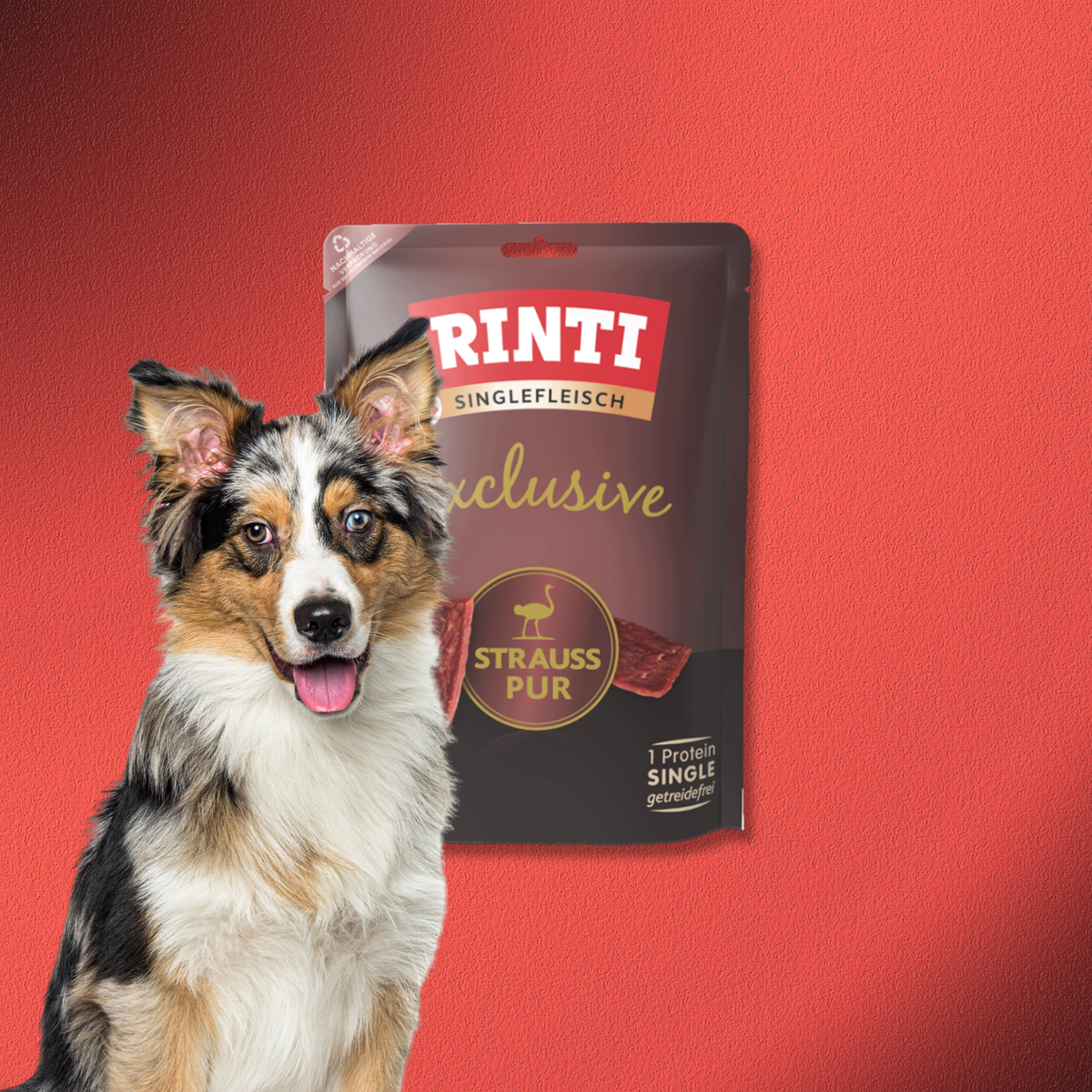 24x50g Rinti Singlefleisch Exclusive Strauss pur Snack