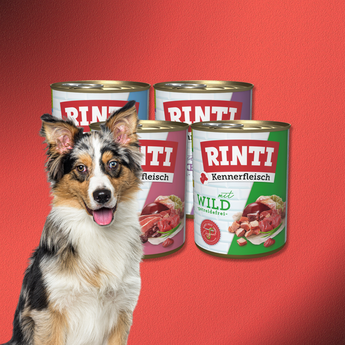 48x800g Rinti Kennerfleisch Mix 2  (4 Sorten)