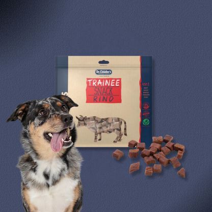 15x500g Dr.Clauder's Trainee Snack - Rinderfleisch