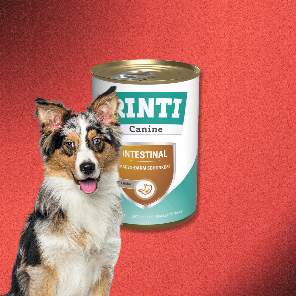 48x400g Rinti Canine Intestinal mit Lamm