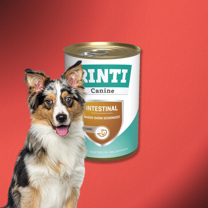 48x400g Rinti Canine Intestinal mit Lamm