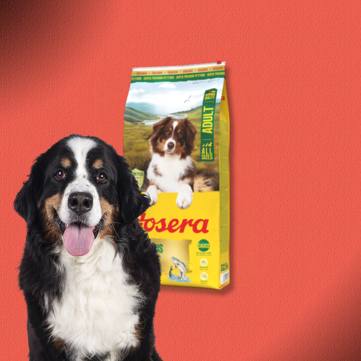 2x12,5kg Josera FiestaPlus Trockenfutter