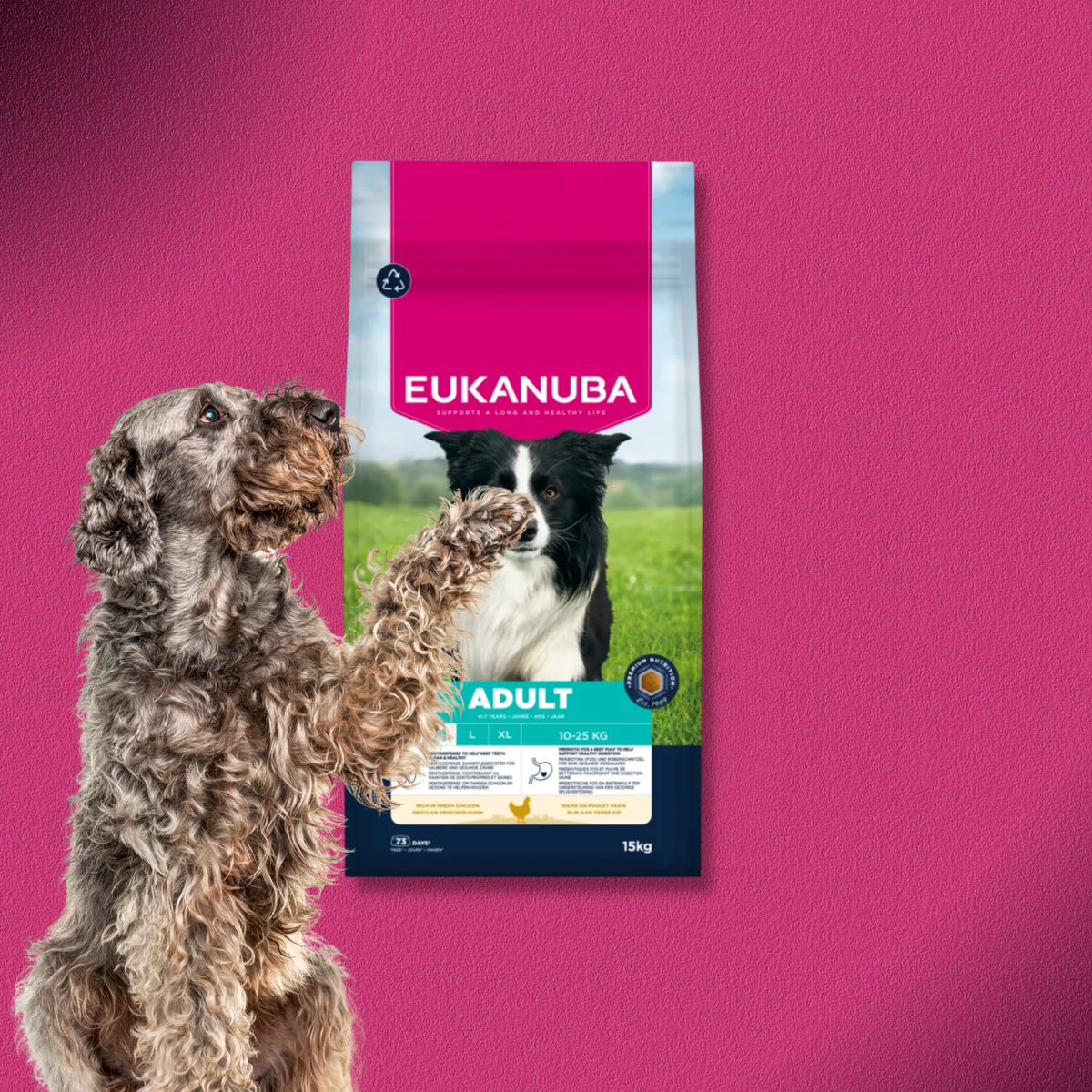 1x15kg Eukanuba Premium Nutrition Adult Medium Breed Huhn