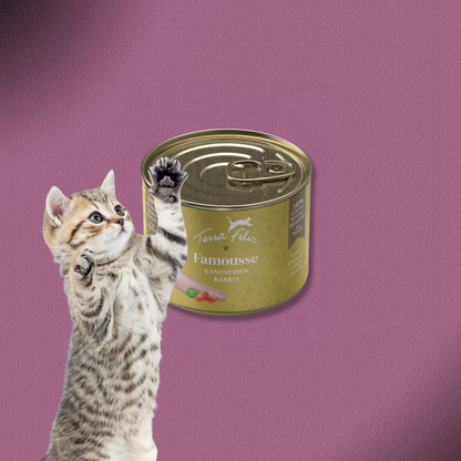 36x200g Terra Felis Famousse Kaninchen