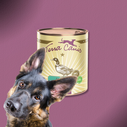 6x800g Terra Canis Classic - Ente mit Naturreis, Roter Bete, Birne und Sesam