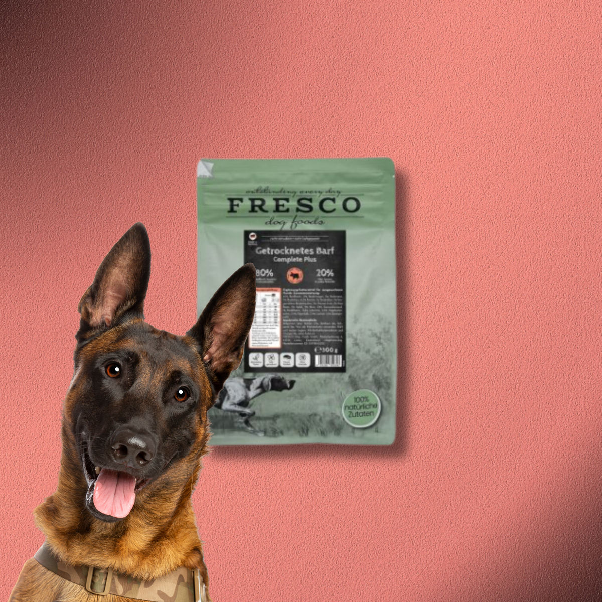 5kg Fresco TrockenBarf Complete Plus Rind