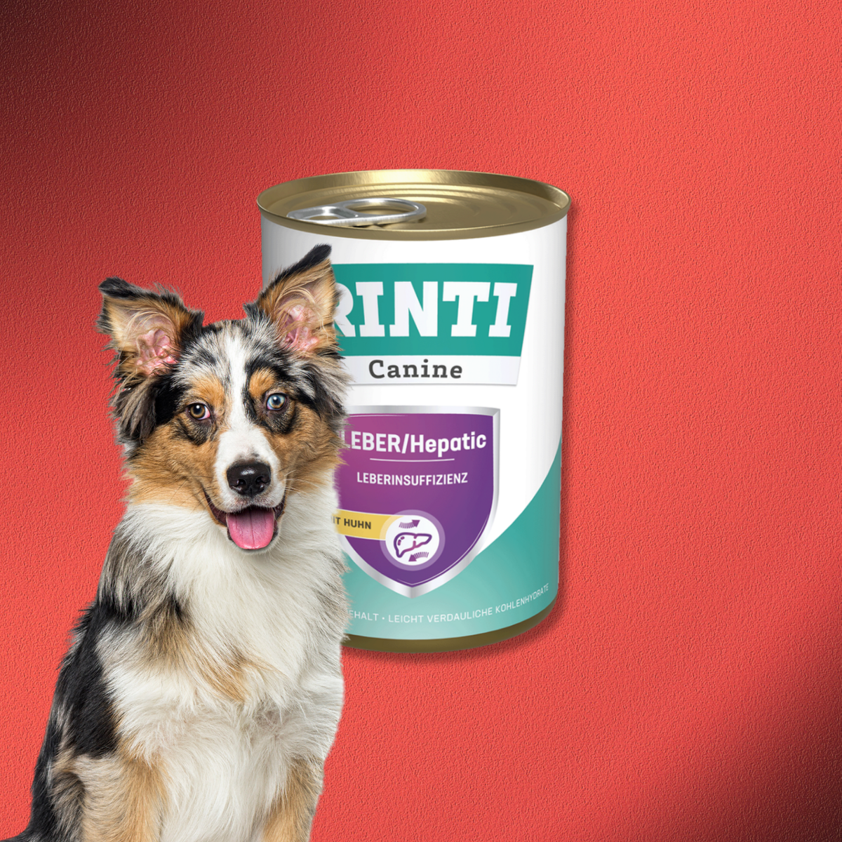 36x400g Rinti Canine Leber/Hepatic Huhn