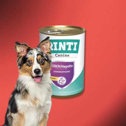 36x400g Rinti Canine Leber/Hepatic Huhn