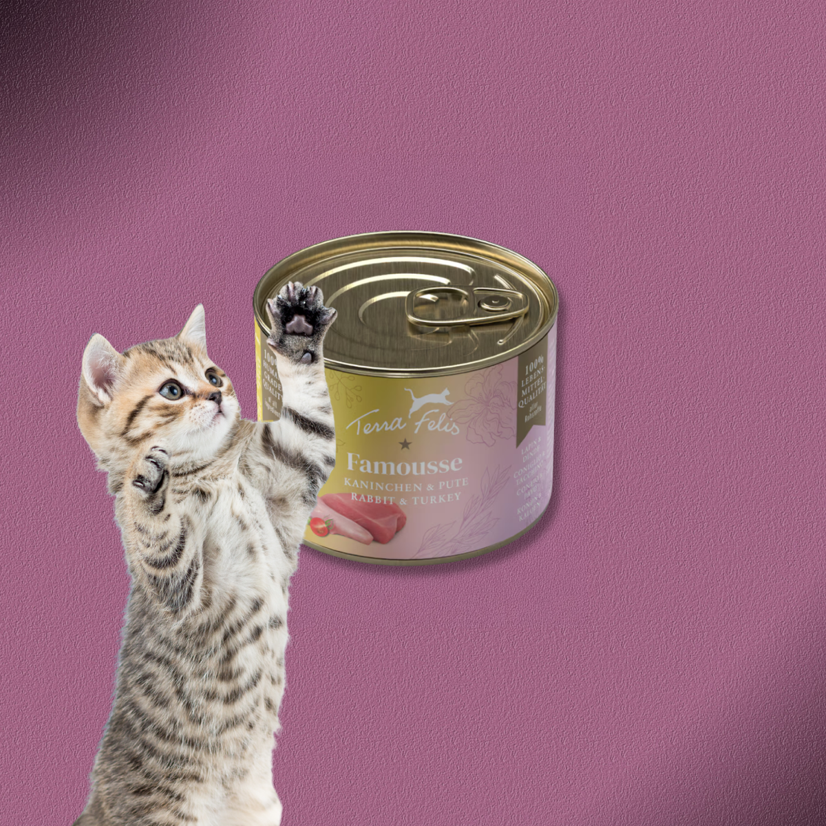 36x200g Terra Felis Famousse Kaninchen & Pute