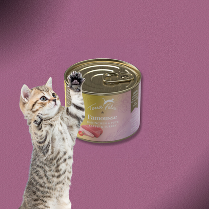 36x200g Terra Felis Famousse Kaninchen & Pute