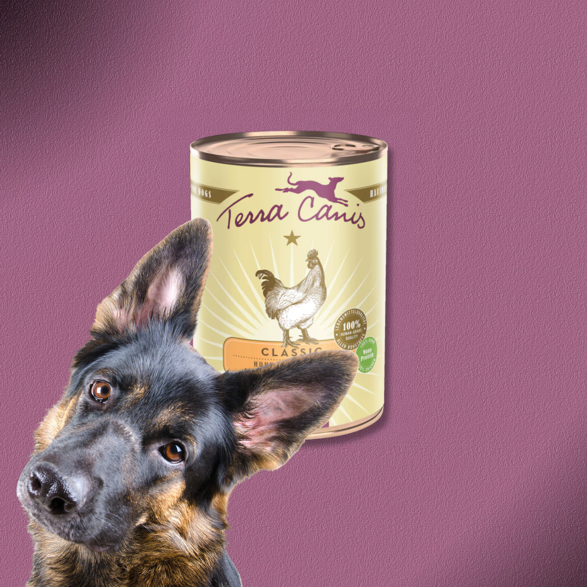6x400g Terra Canis Classic Huhn mit Tomate, Amaranth & Basilikum
