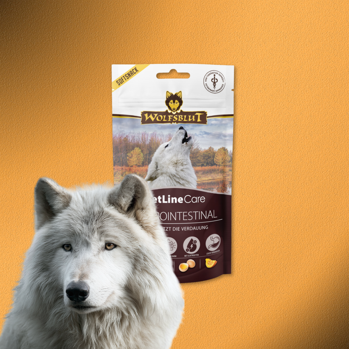 8x100g  Wolfsblut VetLine Care Gastrointestinal