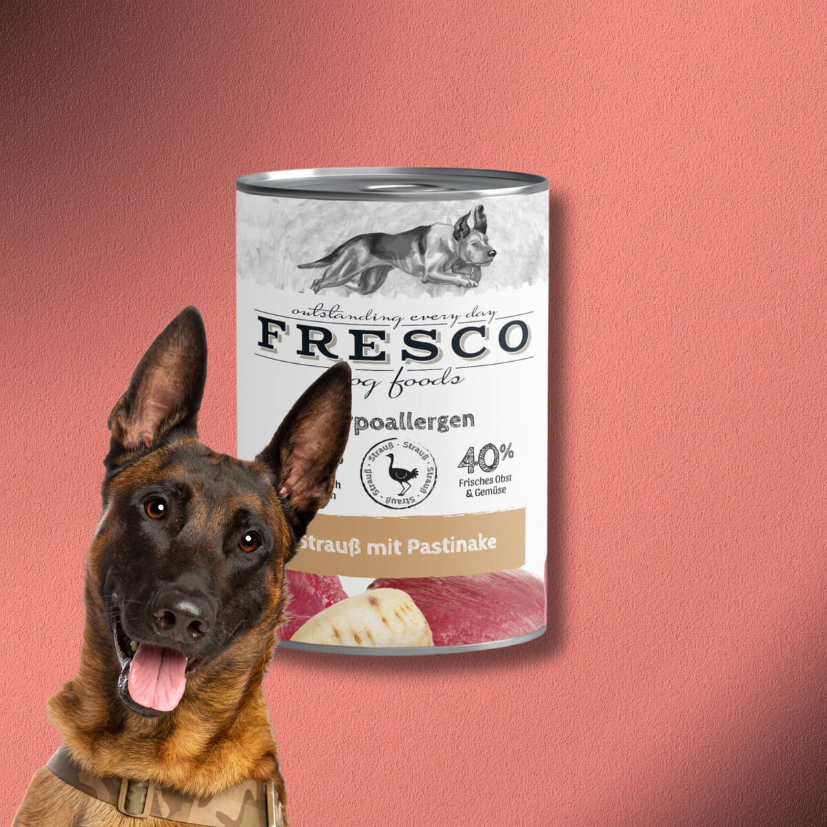 12x400g Fresco NassBarf Hypoallergen-Menü Strauß mit Pastinake
