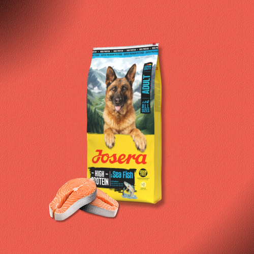 2x12,5kg Josera Adult High Protein Sea Fish
