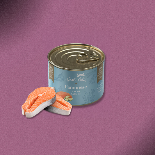 36x200g Terra Felis Famousse Lachs