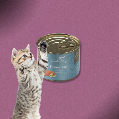 36x200g Terra Felis Famousse Lachs