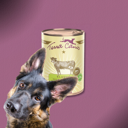 6x400g Terra Canis Kalb mit Hirse, Gurke, gelber Melone & Basilikum