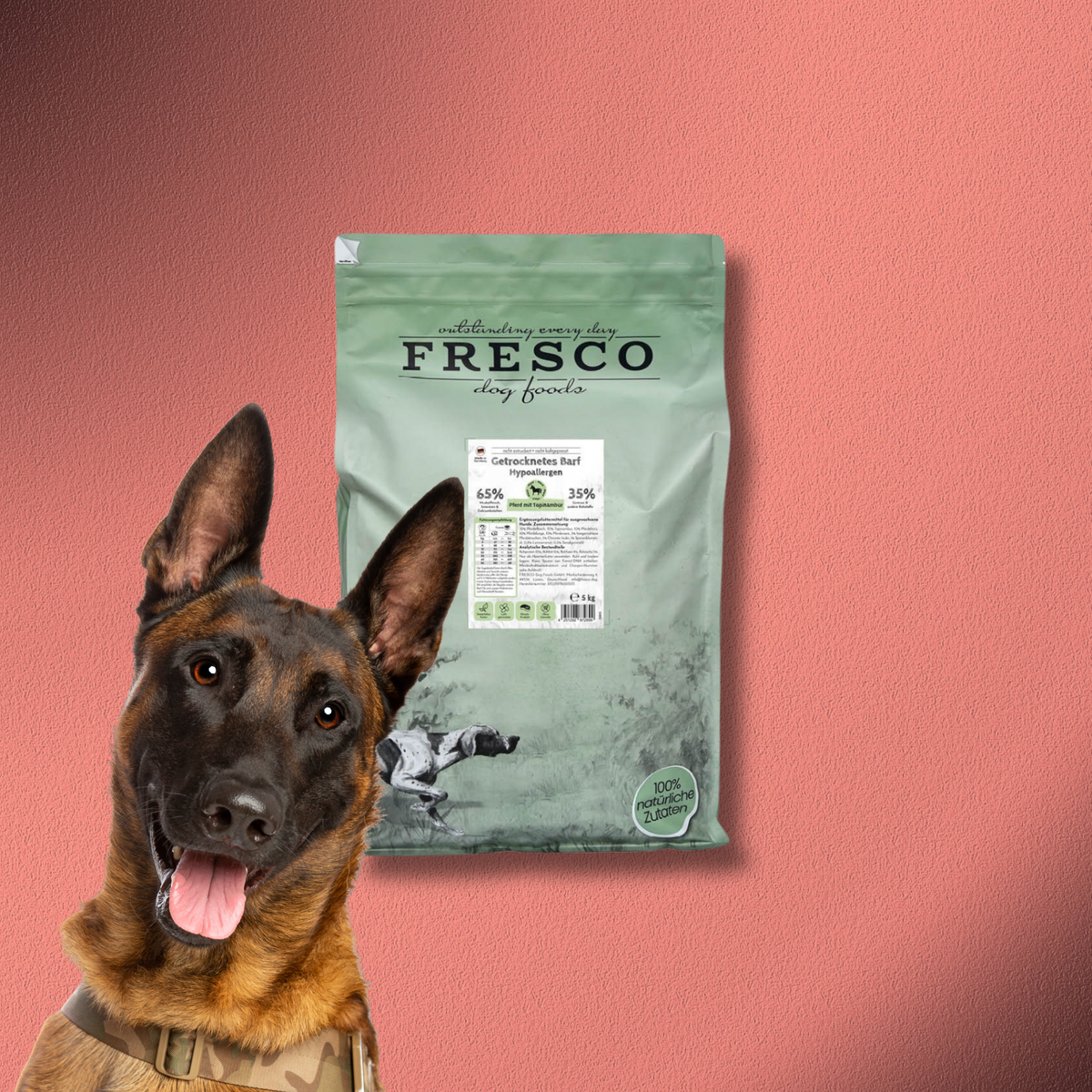 5kg Fresco TrockenBarf Hypoallergen-Menü Pferd mit Topinambur
