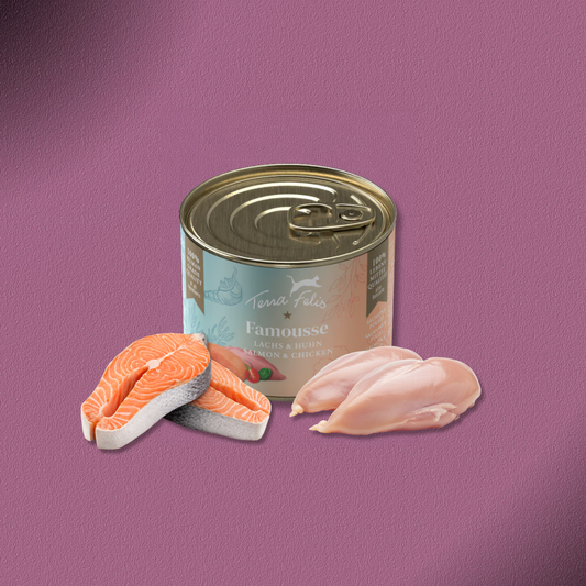 36x200g Terra Felis Famousse Lachs & Huhn