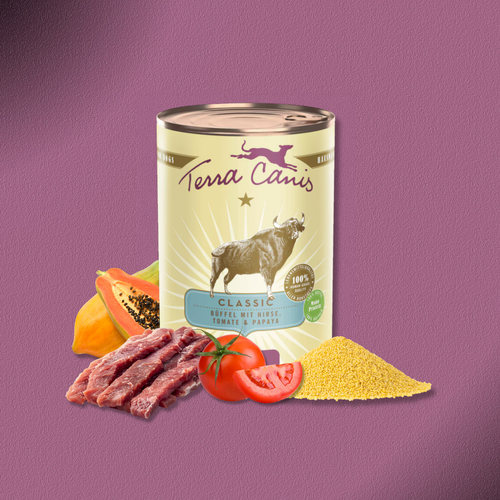 6x400g Terra Canis Büffel mit Hirse, Tomaten & Papaya