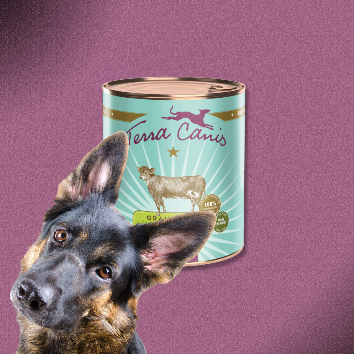 6x800g Terra Canis Grain-Free - Kalb mit Petersilienwurzel, Mango & Johannisbeere