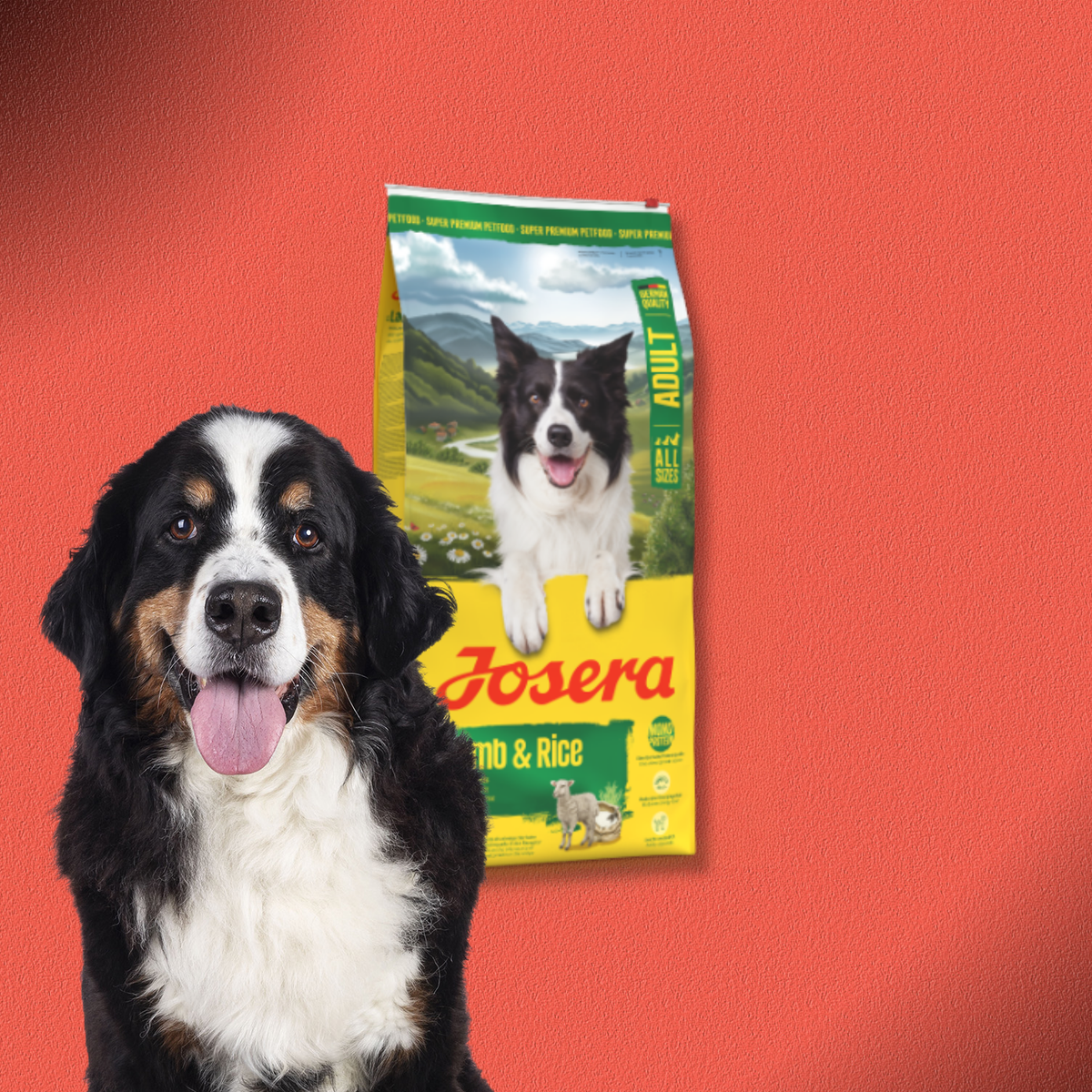 2x12,5kg Josera Adult Lamb & Rice