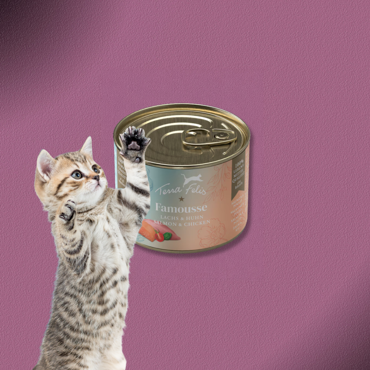 36x200g Terra Felis Famousse Lachs & Huhn