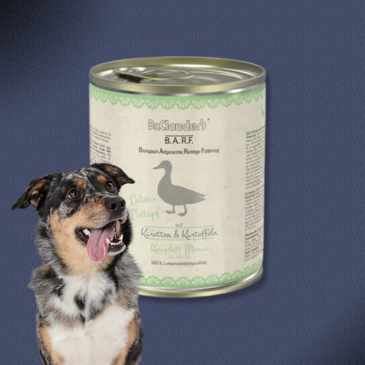 30x800g Dr.Clauder's B.A.R.F. Komplett Menue Enteneintopf