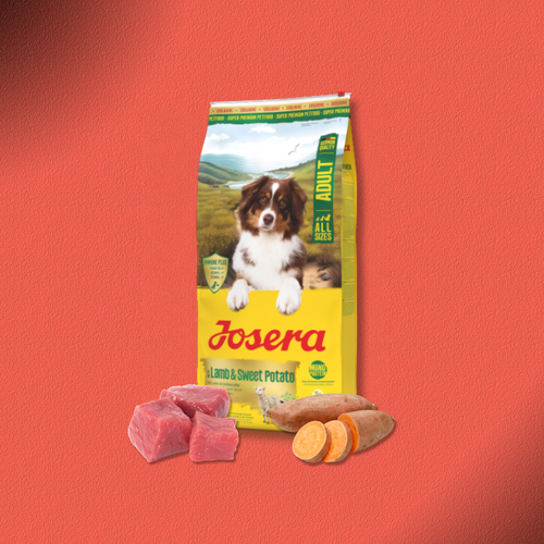 2x12,5kg Josera Adult Lamb & Sweet Potato