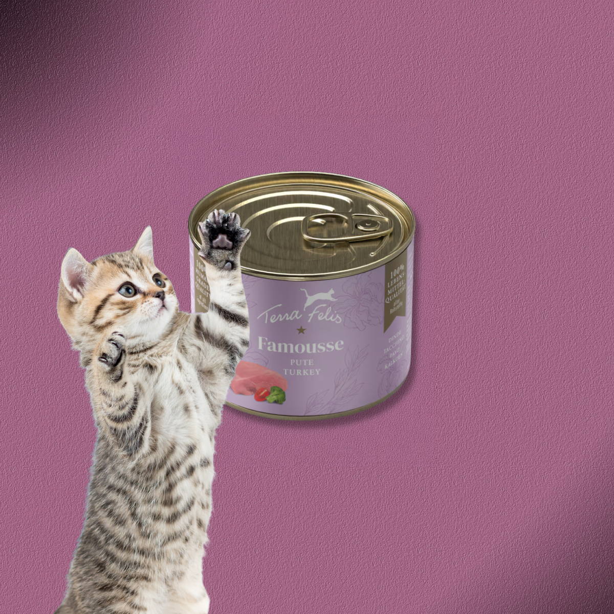36x200g Terra Felis Famousse Pute