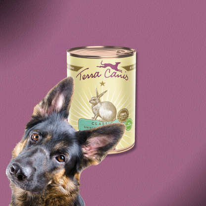 6x400g Terra Canis Kaninchen mit Zucchini, Amaranth & Kerbel
