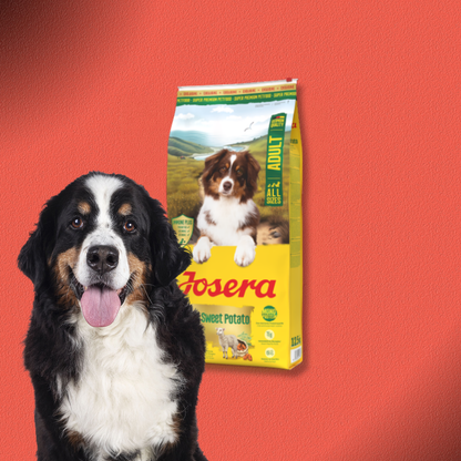 2x12,5kg Josera Adult Lamb & Sweet Potato