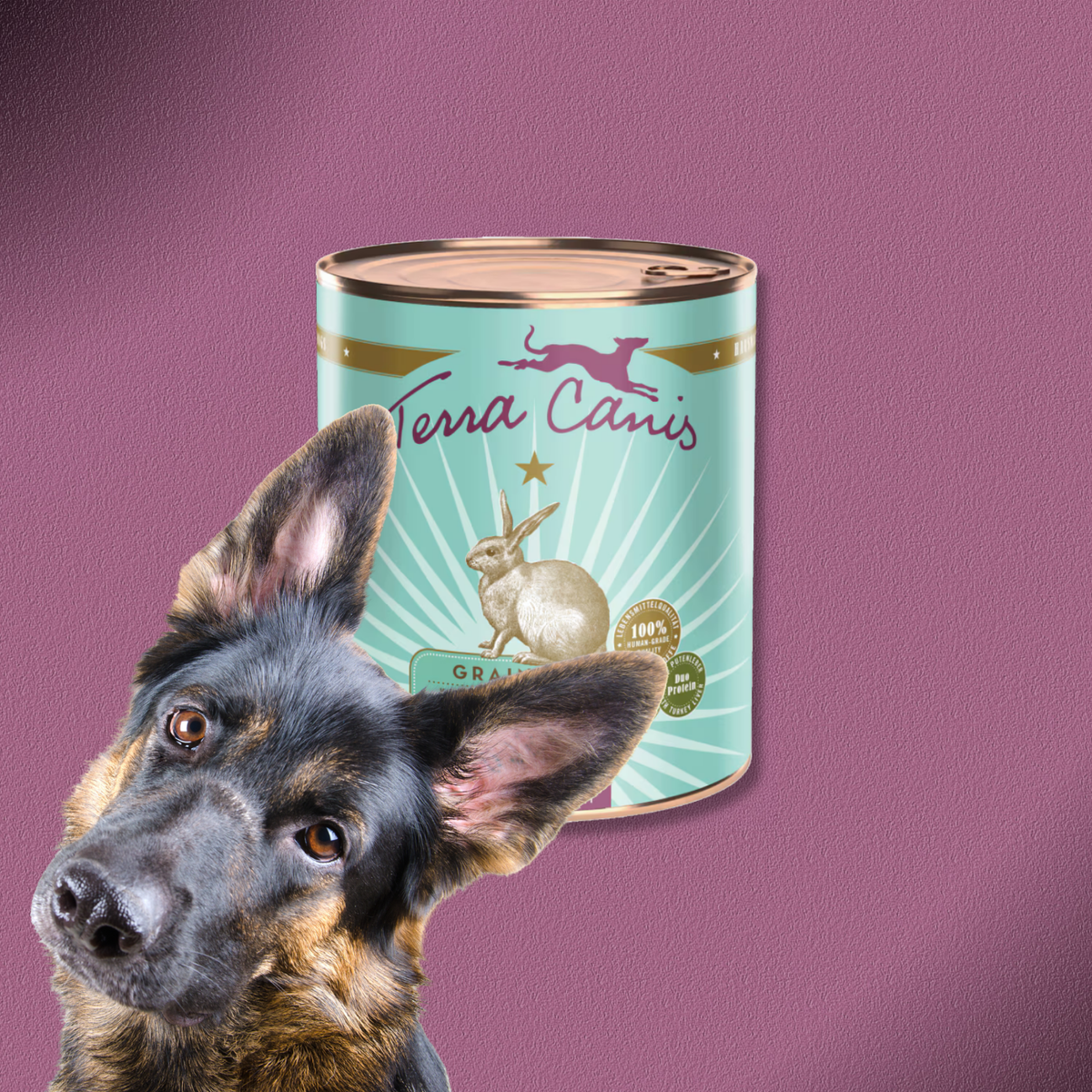 6x800g Terra Canis Grain-Free - Kaninchen mit Zucchini, Aprikose & Borretsch