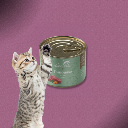 36x200g Terra Felis Famousse Rind