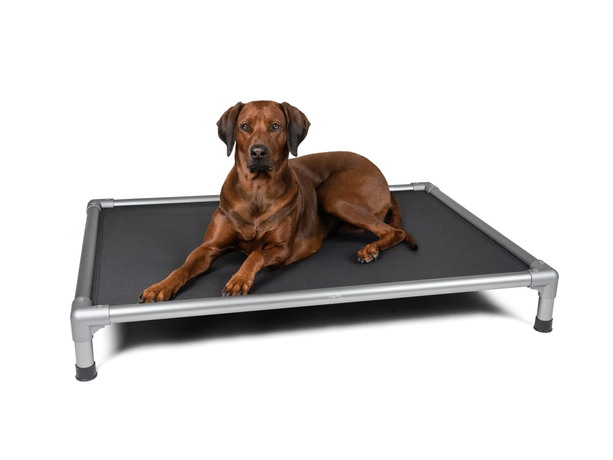 TrendPet Highbed