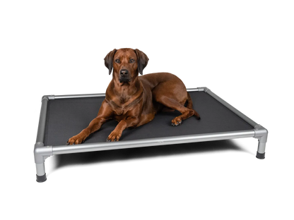 TrendPet Highbed