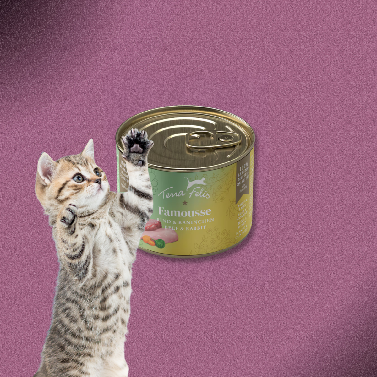 36x200g Terra Felis Famousse Rind & Kaninchen