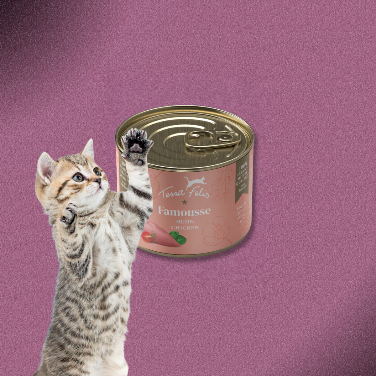 36x200g Terra Felis Famousse Huhn