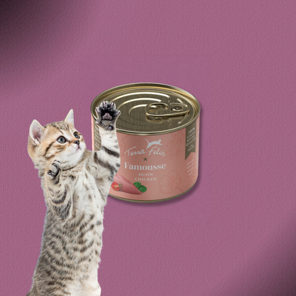 36x200g Terra Felis Famousse Huhn