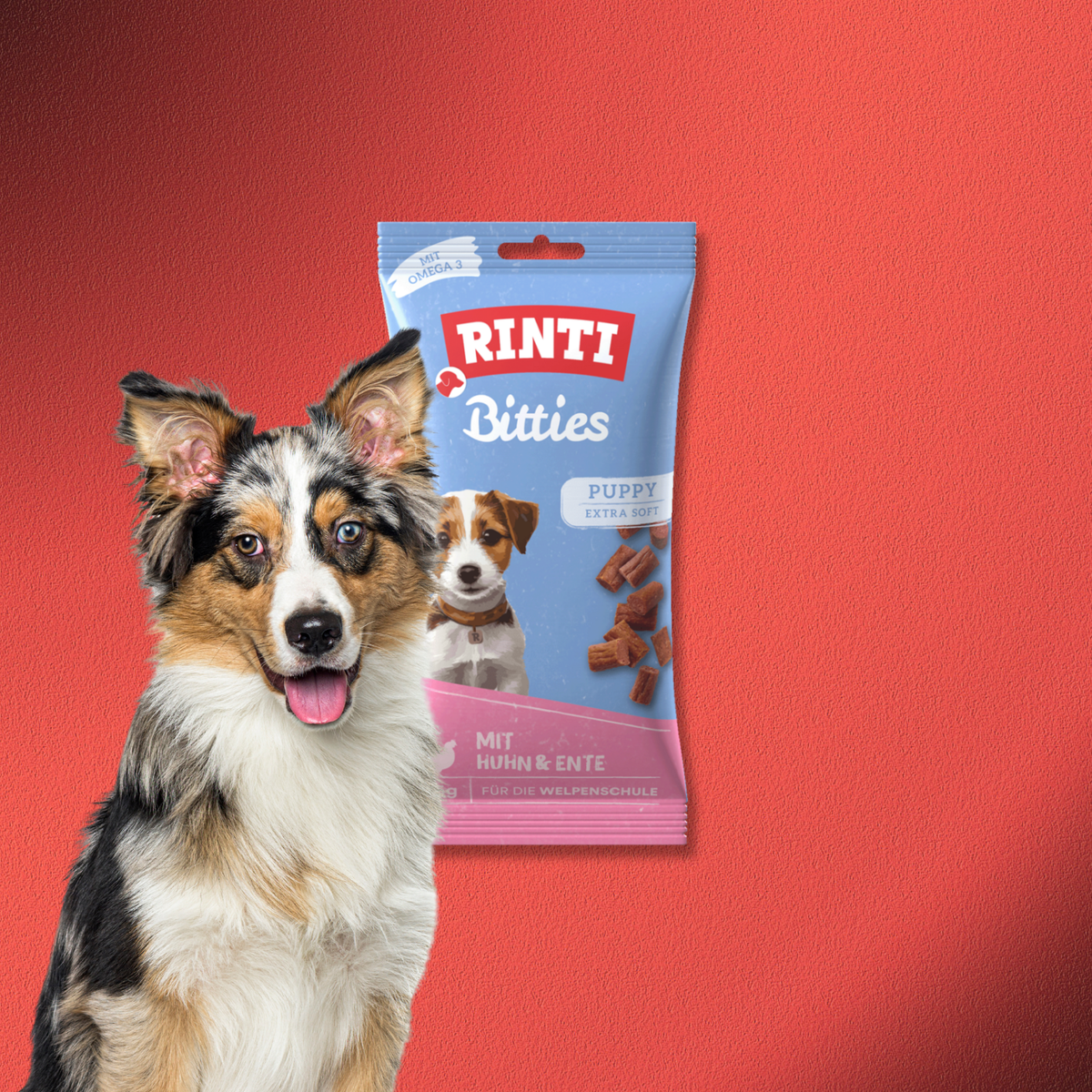 36x75g Rinti Bitties Puppy Extra Soft