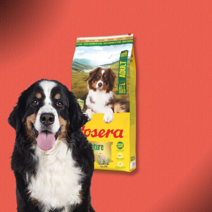 2x12,5kg Josera Active Nature