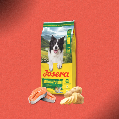 2x12,5kg Josera Adult - Salmon & Potato