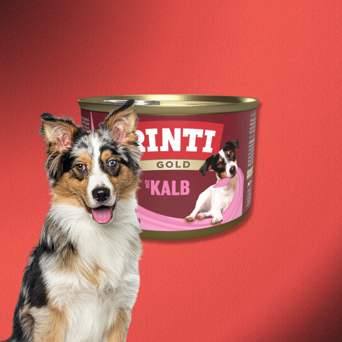 72x185g Rinti Gold - Kalb