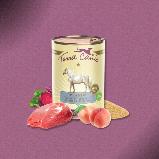 6x400g Terra Canis Pferd mit Amaranth, Pfirsich & Roter Beete