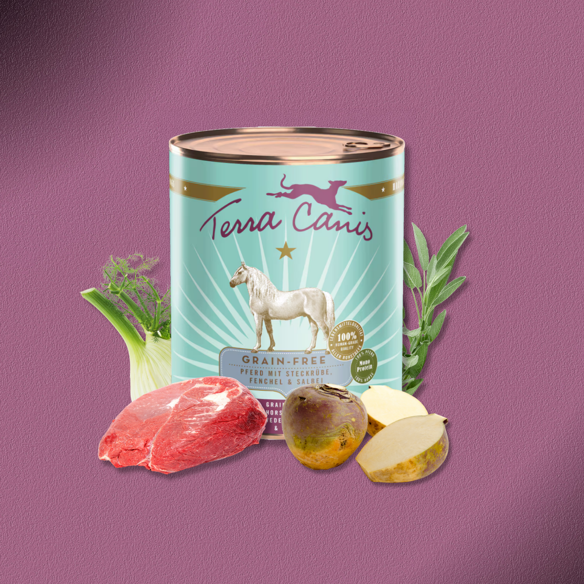 6x800g Terra Canis Grain-Free - Pferd mit Steckrübe, Fenchel & Salbei